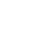 Energy Finance Institute